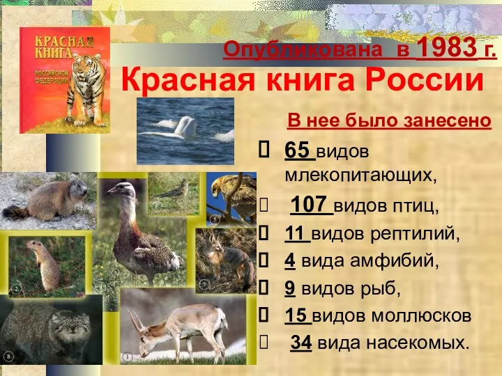 Красная книга России В нее было занесено 65 видов млекопитающих, 107