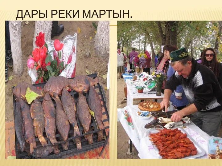 ДАРЫ РЕКИ МАРТЫН.