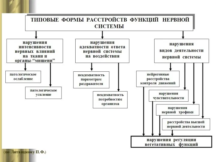 (по Литвицкому П.Ф.)