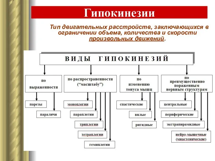 Гипокинезии Тип двигательных расстройств, заключающихся в ограничении объема, количества и скорости произвольных движений.