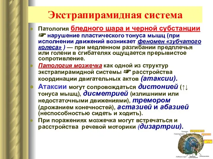 Экстрапирамидная система Патология бледного шара и черной субстанции ☞ нарушение пластического