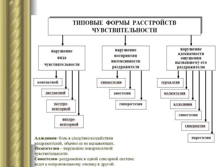 Аллодиния- боль в следствие воздействия раздражителей, обычно ее не вызывающих. Полиэстезия