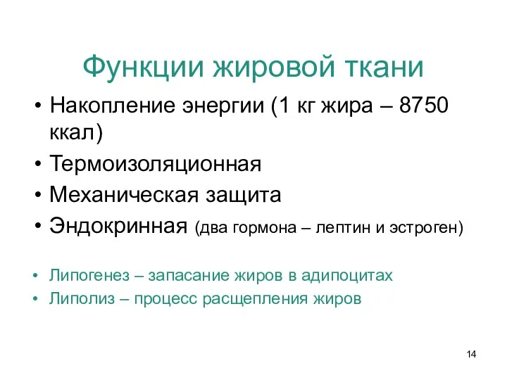 Функции жировой ткани Накопление энергии (1 кг жира – 8750 ккал)