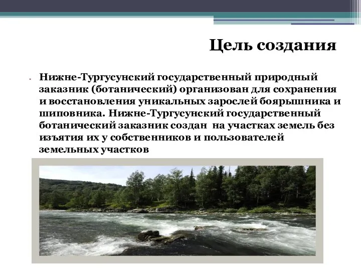 Цель создания Нижне-Тургусунский государственный природный заказник (ботанический) организован для сохранения и