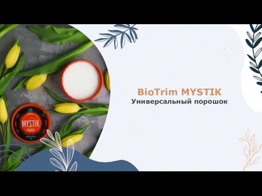 BioTrim MYSTIK Универсальный порошок