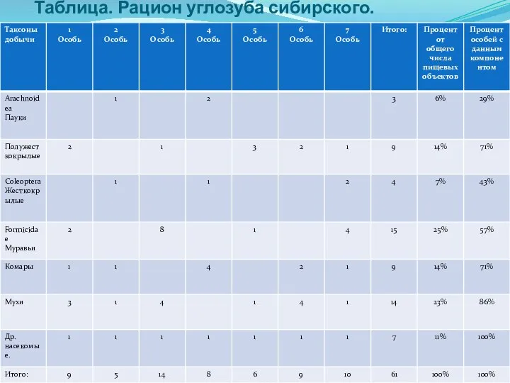 Таблица. Рацион углозуба сибирского.