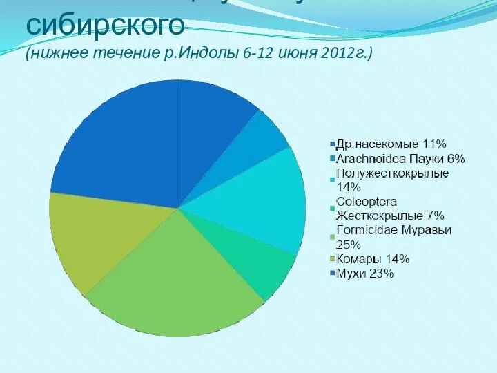 Состав пищи углозуба сибирского (нижнее течение р.Индолы 6-12 июня 2012г.)