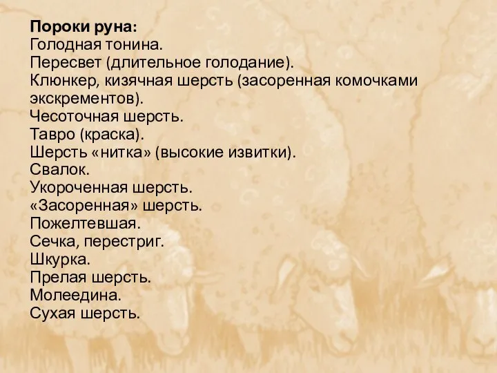 Пороки руна: Голодная тонина. Пересвет (длительное голодание). Клюнкер, кизячная шерсть (засоренная