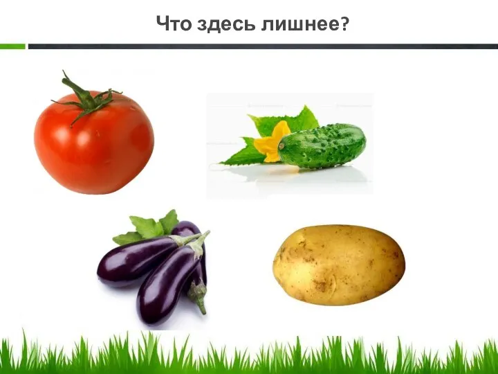 Что здесь лишнее?