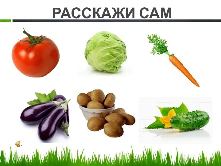 РАССКАЖИ САМ