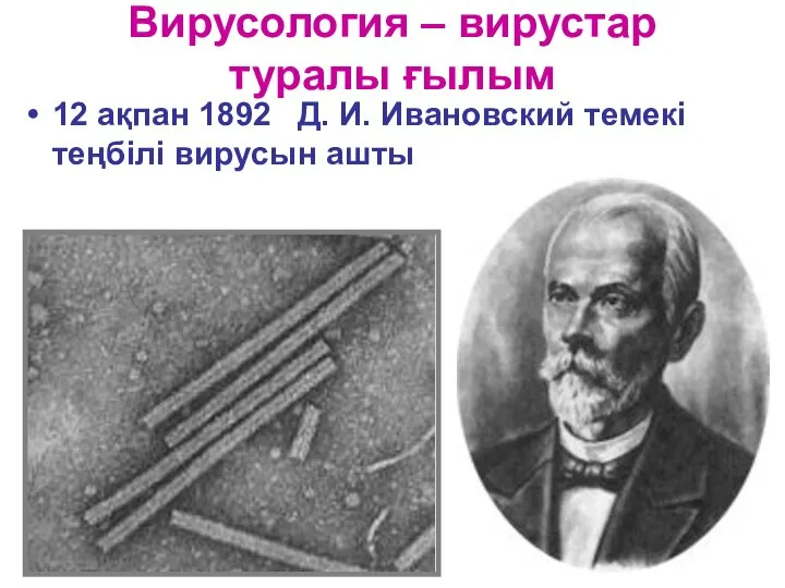 Вирусология – вирустар туралы ғылым 12 ақпан 1892 Д. И. Ивановский темекі теңбілі вирусын ашты