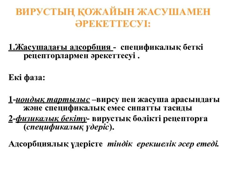 ВИРУСТЫҢ ҚОЖАЙЫН ЖАСУШАМЕН ӘРЕКЕТТЕСУІ: 1.Жасушадағы адсорбция - спецификалық беткі рецепторлармен әрекеттесуі