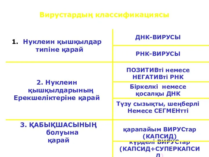 Вирустардың классификациясы Нуклеин қышқылдар типіне қарай ДНК-ВИРУСЫ РНК-ВИРУСЫ 2. Нуклеин қышқылдарының