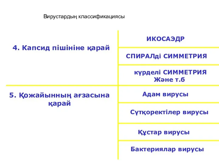 4. Капсид пішініне қарай ИКОСАЭДР СПИРАЛді СИММЕТРИЯ 5. Қожайынның ағзасына қарай