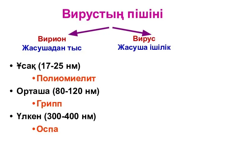 Вирустың пішіні Вирион Жасушадан тыс Вирус Жасуша ішілік Ұсақ (17-25 нм)