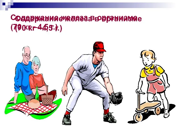 Содержание железа в организме (70 кг –4,5 г.) Содержание железа в организме (70 кг –4,5 г.)