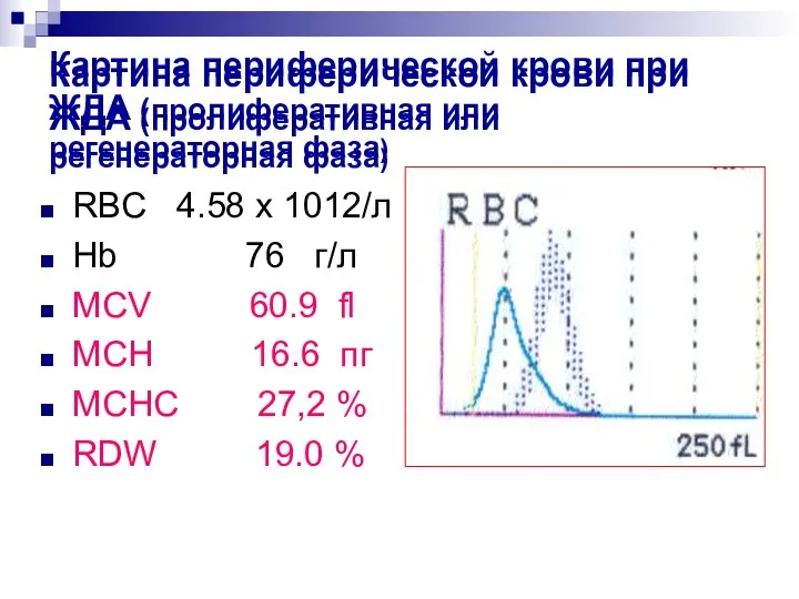 Картина периферической крови при ЖДА (пролиферативная или регенераторная фаза) Картина периферической