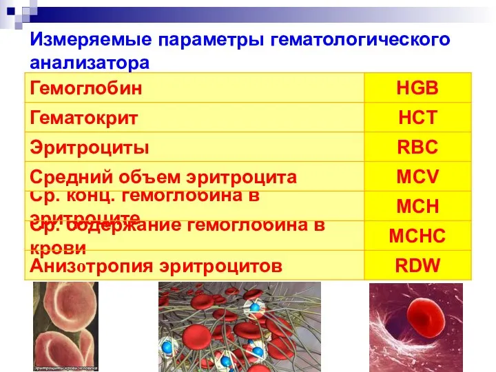 Измеряемые параметры гематологического анализатора