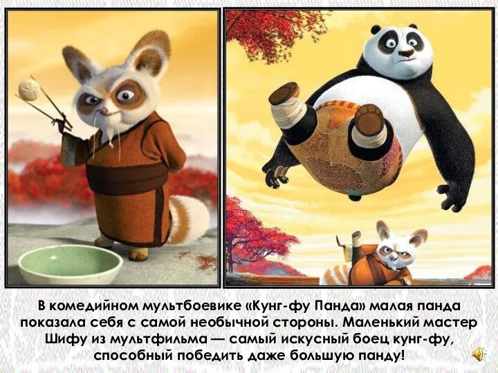 В комедийном мультбоевике «Кунг-фу Панда» малая панда показала себя с самой