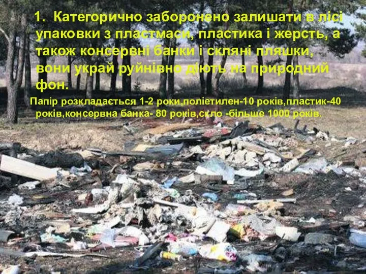 1. Категорично заборонено залишати в лісі упаковки з пластмаси, пластика і