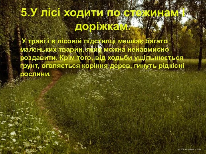 5.У лісі ходити по стежинам і доріжкам. У траві і в