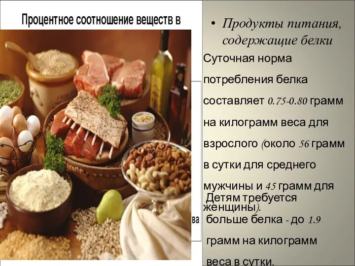 Продукты питания, содержащие белки Суточная норма потребления белка составляет 0.75-0.80 грамм