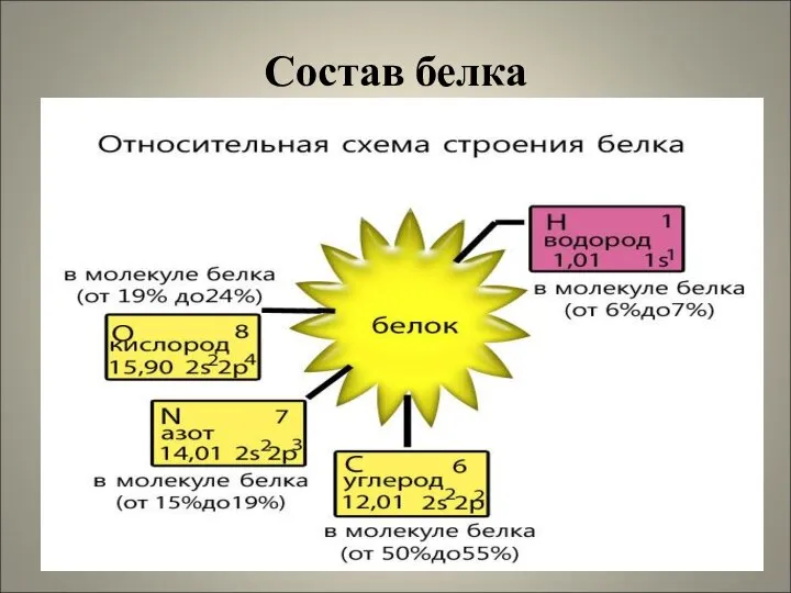 Состав белка