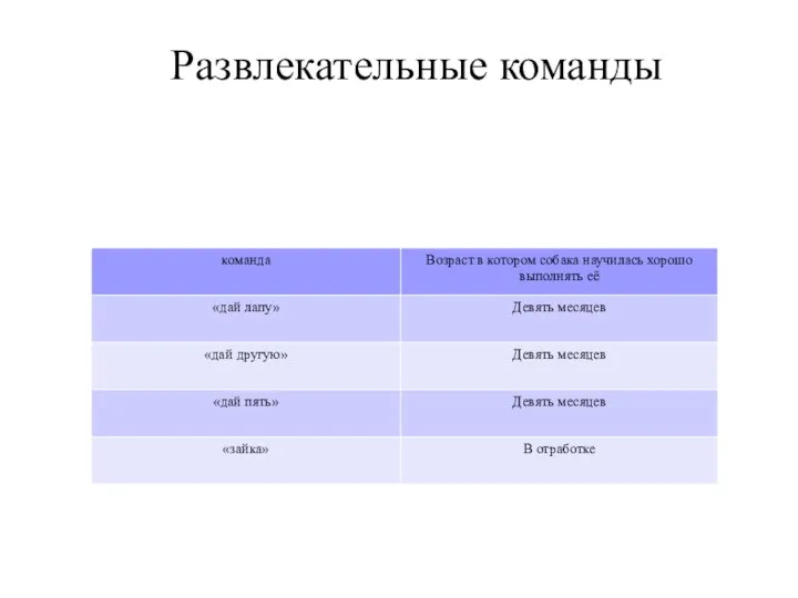 Развлекательные команды