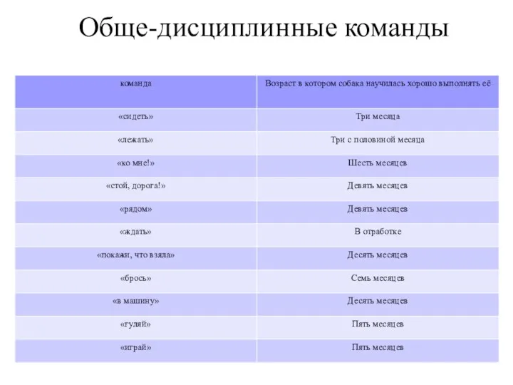 Обще-дисциплинные команды