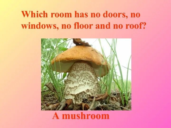 Which room has no doors, no windows, no floor and no roof? A mushroom
