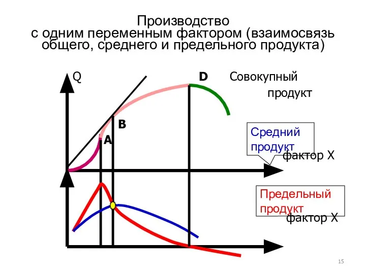 Производство с одним переменным фактором (взаимосвязь общего, среднего и предельного продукта)