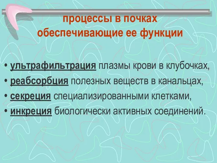 процессы в почках обеспечивающие ее функции ультрафильтрация плазмы крови в клубочках,