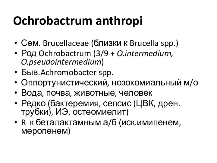 Ochrobactrum anthropi Сем. Brucellaceae (близки к Brucella spp.) Род Ochrobactrum (3/9