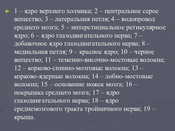 1 – ядро верхнего холмика; 2 – центральное серое вещество; 3