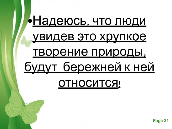 Надеюсь, что люди увидев это хрупкое творение природы, будут бережней к ней относится!