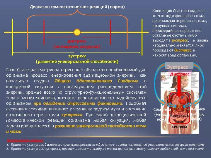 Диапазон гомеостатических реакций (норма) дистресс (истощение ресурсов) эустресс (развитие универсальной способности)