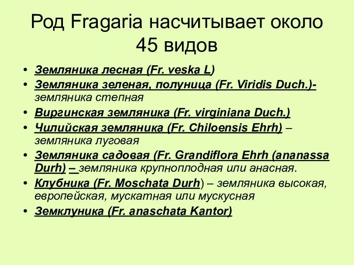 Род Fragaria насчитывает около 45 видов Земляника лесная (Fr. veska L)