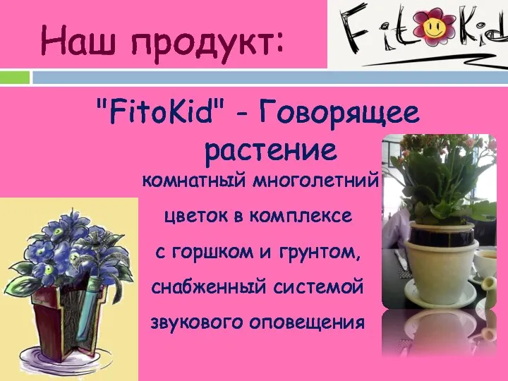 Наш продукт: "FitoKid" - Говорящее растение комнатный многолетний цветок в комплексе