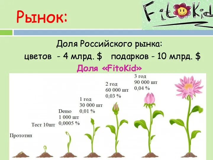 Рынок: Доля Российского рынка: цветов - 4 млрд. $ подарков - 10 млрд. $ Доля «FitoKid»