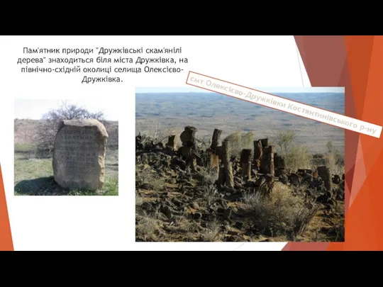 Пам'ятник природи "Дружківські скам'янілі дерева" знаходиться біля міста Дружківка, на північно-східній