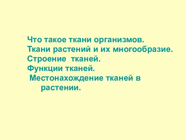 Что такое ткани организмов. Ткани растений и их многообразие. Строение тканей.