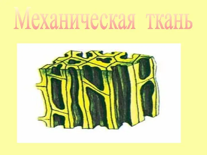 Механическая ткань