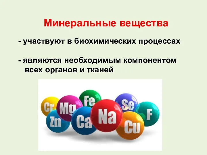 Минеральные вещества - участвуют в биохимических процессах - являются необходимым компонентом всех органов и тканей