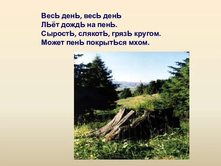 ВесЬ денЬ, весЬ денЬ ЛЬёт дождЬ на пенЬ. СыростЬ, слякотЬ, грязЬ кругом. Может пенЬ покрытЬся мхом.