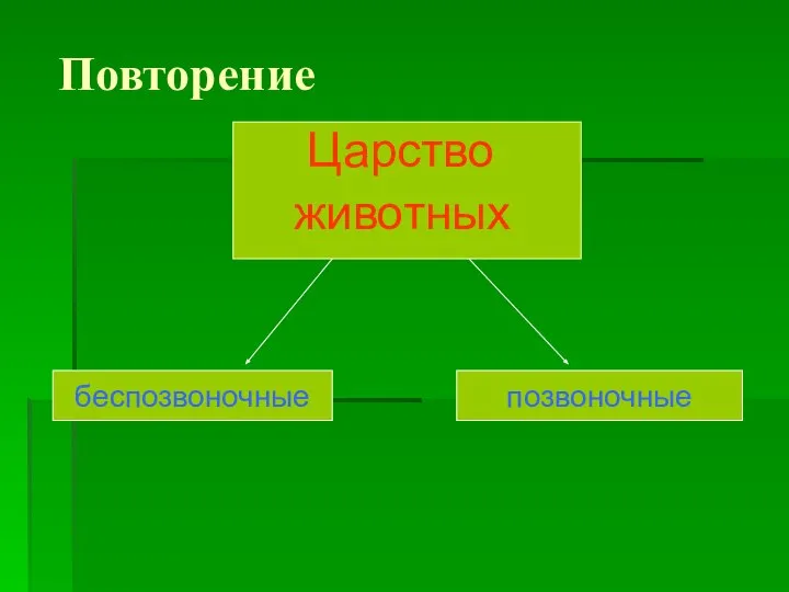 Повторение беспозвоночные позвоночные Царство животных