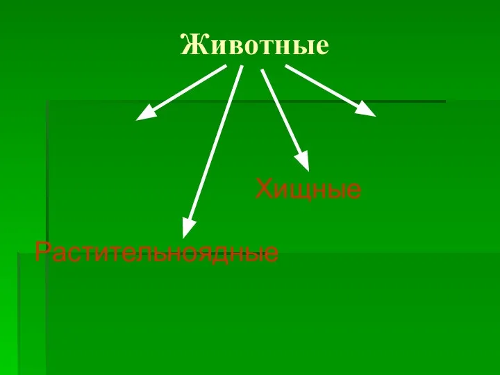 Животные Растительноядные Хищные