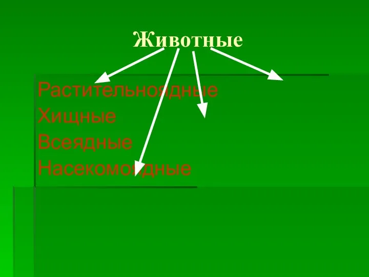 Животные Растительноядные Хищные Всеядные Насекомоядные