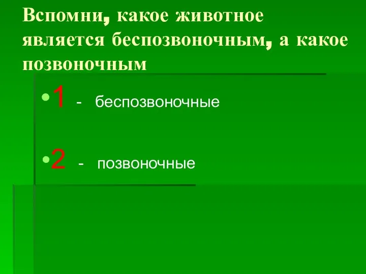 Вспомни, какое животное является беспозвоночным, а какое позвоночным 1 - беспозвоночные 2 - позвоночные