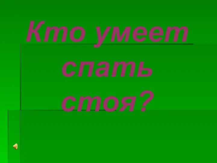 Кто умеет спать стоя?