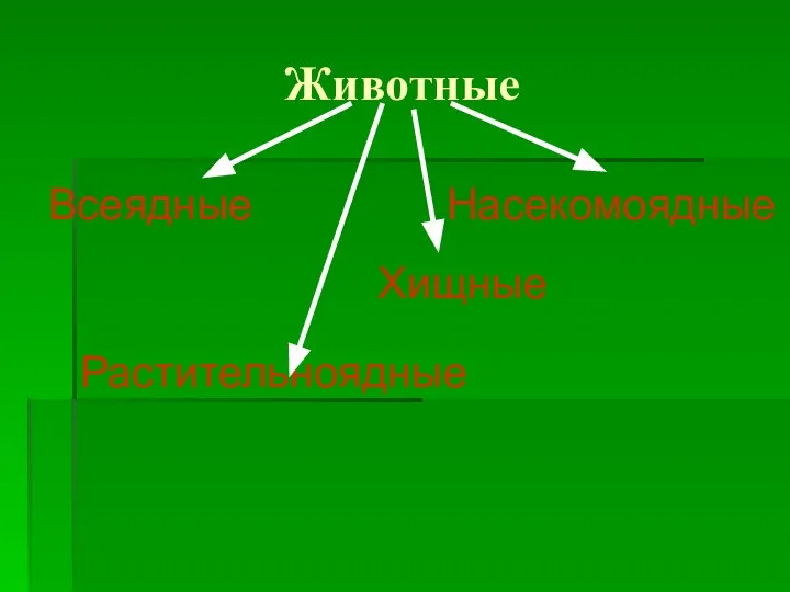 Животные Растительноядные Насекомоядные Хищные Всеядные